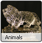 Animal Gallery