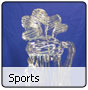 Sports Gallery
